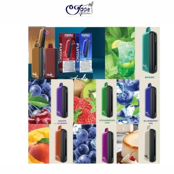 FUMMO Indic 12000 Puffs